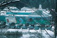 Peterborough, NH - Mural - Winter